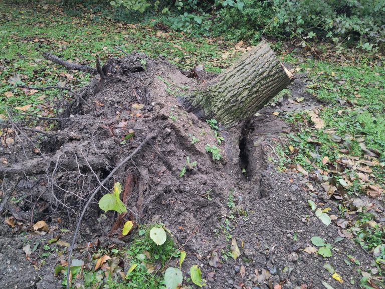 Schäden durch extreme Wetterbedingungen